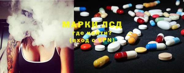 прущие грибы Арсеньев