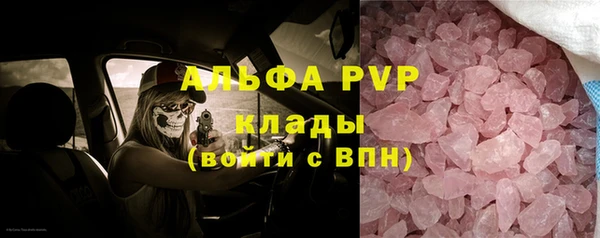 прущие грибы Арсеньев