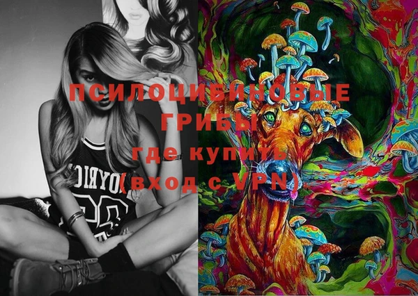 прущие грибы Арсеньев